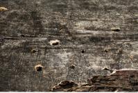 photo texture of wood bare